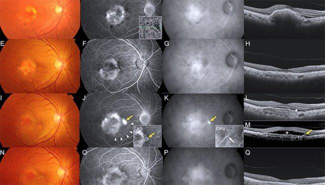 ����������� �������� ����������������, ������� ����������� � ������ �������